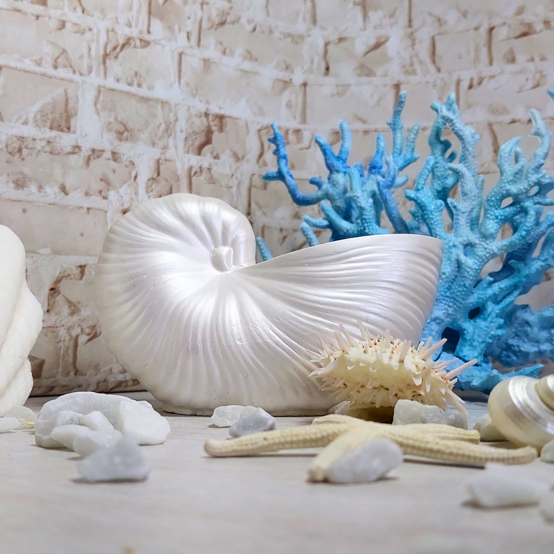 "Caracola de resina mineral blanca, ideal para joyas, objetos pequeños o como recipiente para vela. Resistente al calor hasta 200°C, perfecta para cualquier espacio: mesita, baño o cocina."