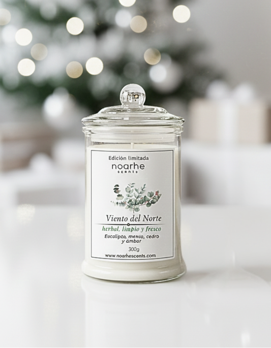 Vela Aromática Viento del Norte | Aroma Amaderado y Fresco | Noarhe scents